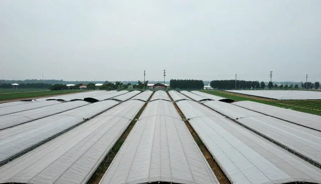 名录展示中的获客支持误区与选型关注点