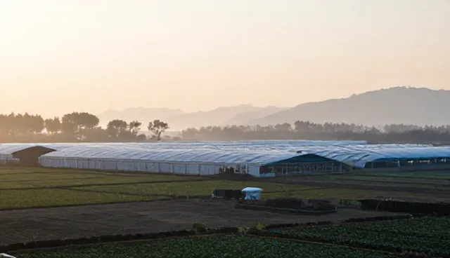 不同行业如何选择建站成本与推广方案